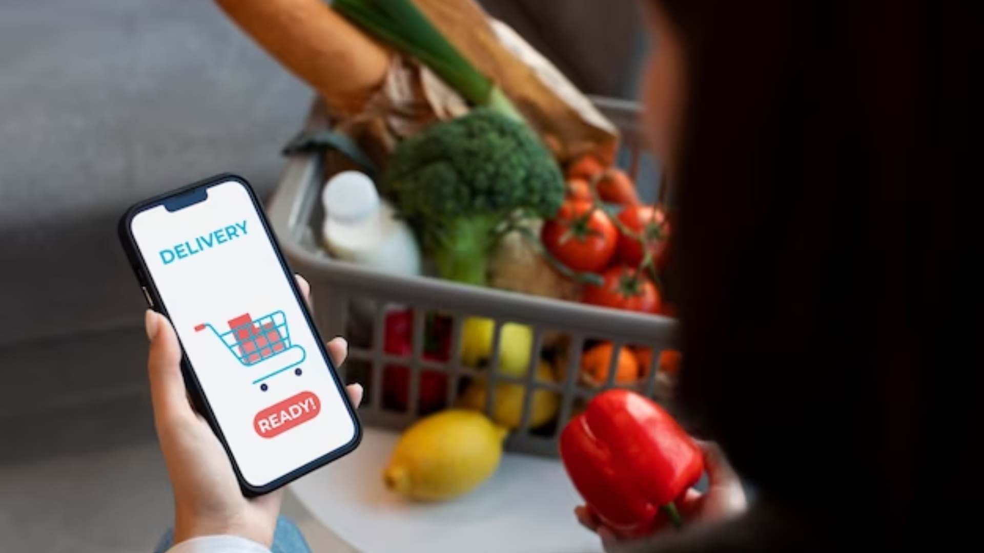 Grocery Delivery Services